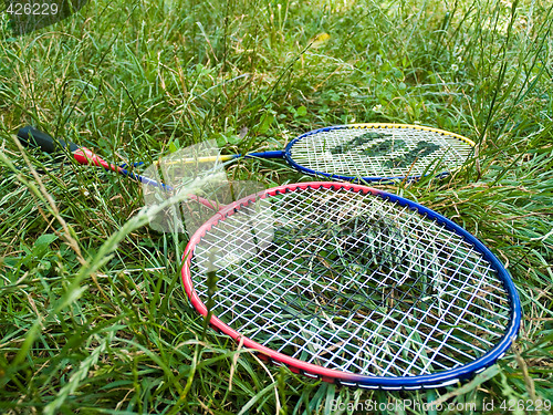 Image of Two badminton rackets in grass