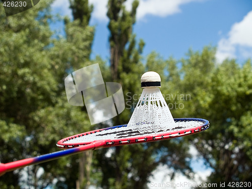 Image of Volleyball racket ready to play