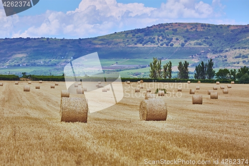 Image of Agricultural field with bales