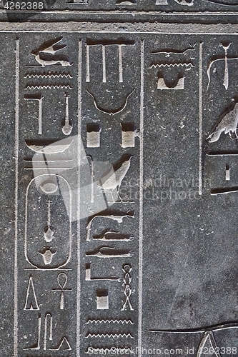 Image of Ancient Hieroglyphic Script