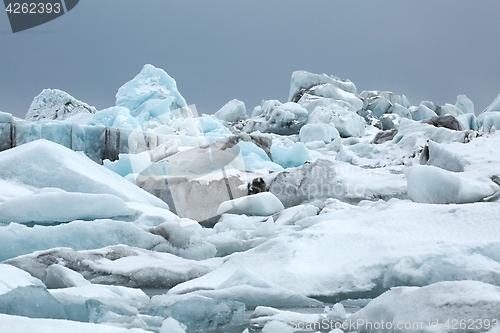 Image of Icebergs clogged up