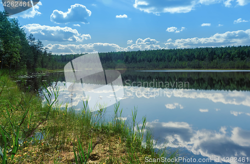 Image of Summer Landscape With Sky Reflection On A Water