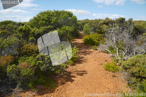 Image of Landscape in Tasmania