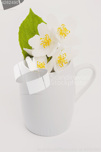 Image of jasmine tea