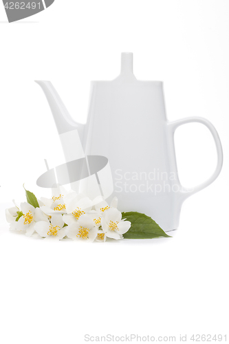 Image of jasmine tea