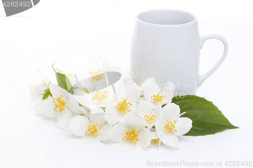 Image of jasmine tea