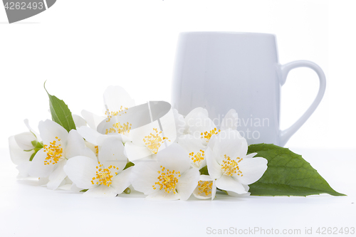 Image of jasmine tea