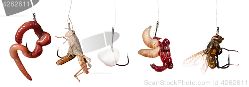 Image of set of fishing baits on the hook isolated on white background