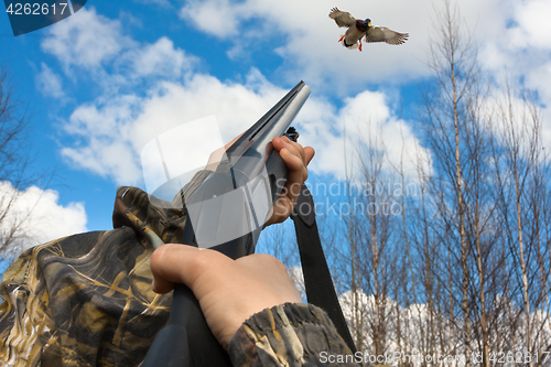 Image of hands of hunter shooting from a shotgun to duck