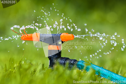Image of garden sprinkler