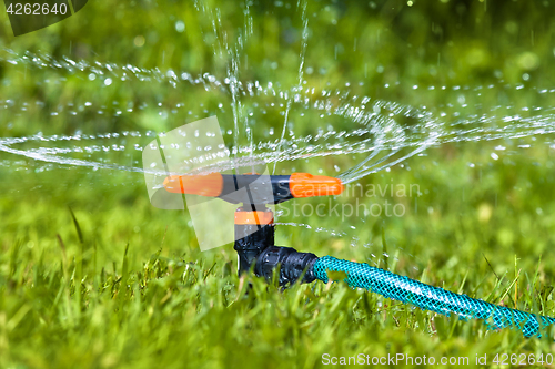 Image of garden sprinkler spraying water over grass