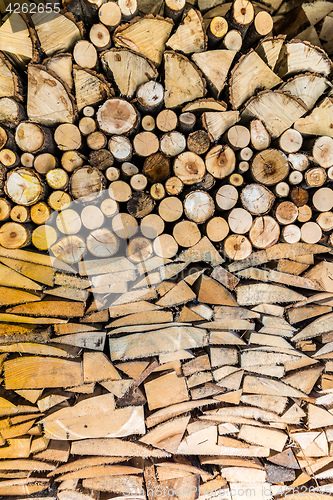 Image of Pile of wood logs in the garden