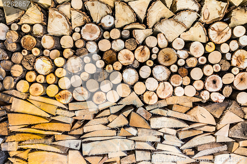 Image of Pile of wood logs in the garden