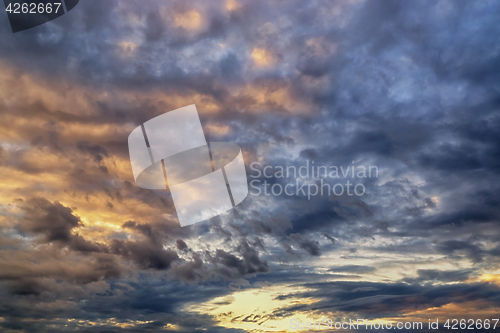 Image of 