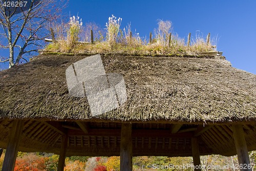 Image of Japanese Pavilion