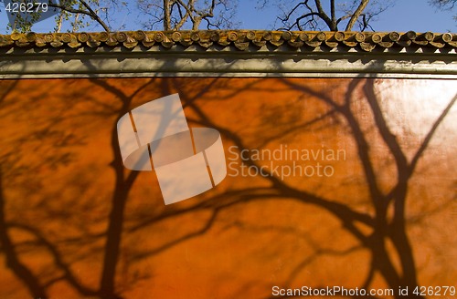 Image of Shadows on the Wall