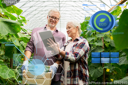 Image of senior couple with cucumbers and tablet pc on farm