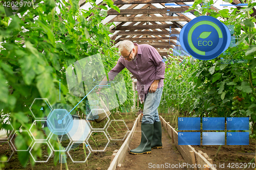 Image of senior man with watering can at farm greenhouse