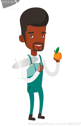 Image of Farmer collecting oranges vector illustration.