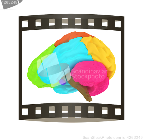 Image of creative concept with 3d rendered colourful brain. The film stri