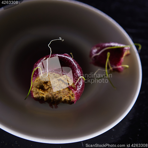 Image of Appetizer of foie gras in jelly