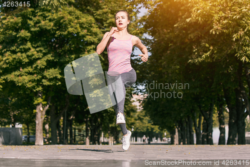 Image of Pretty sporty woman jogging at park in sunrise light