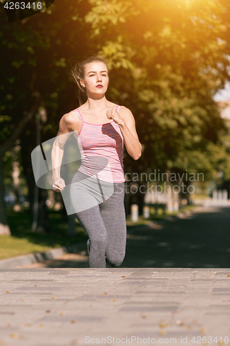 Image of Pretty sporty woman jogging at park in sunrise light