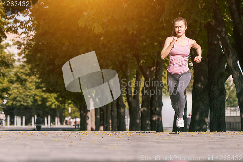 Image of Pretty sporty woman jogging at park in sunrise light