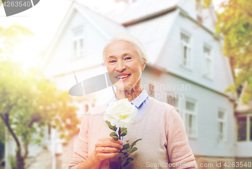 Image of happy senior woman with rose flower at home