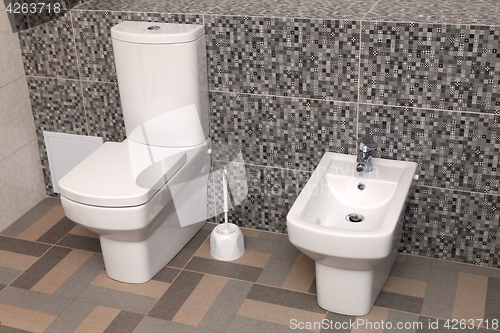 Image of white toilet bowl and bidet in wc