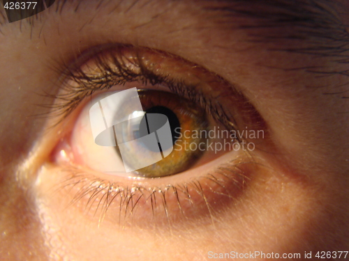 Image of eye macro