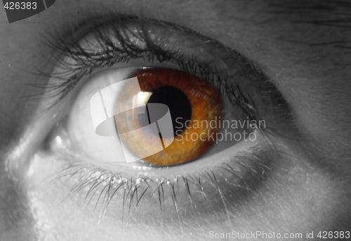 Image of eye macro