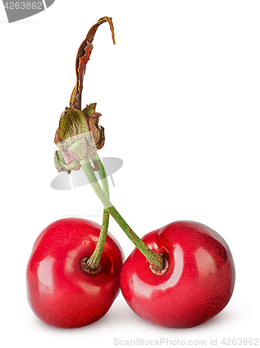 Image of Pair red sweet cherry
