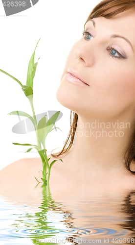 Image of blue-eyed brunette with bamboo