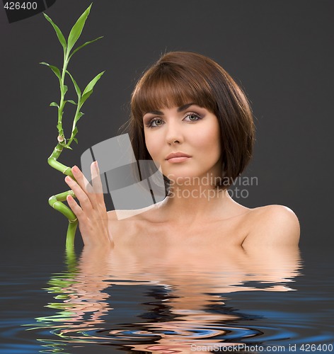 Image of brunette with bamboo