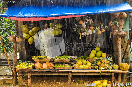 Image of Fruit in rain in Bangladesh