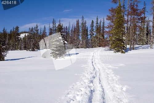 Image of Trail in the Snow