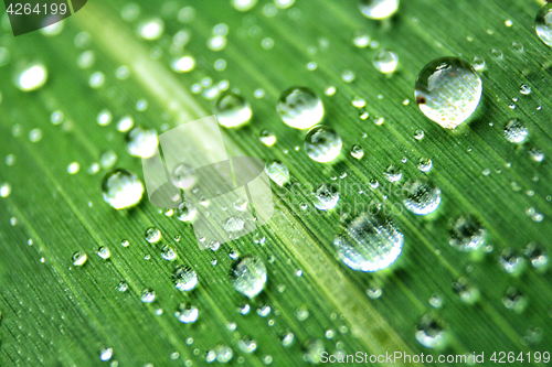 Image of water drops background