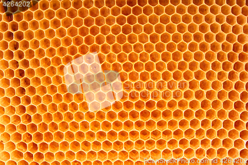 Image of bee wax texture