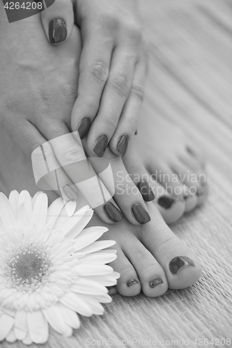 Image of female feet and hands at spa salon