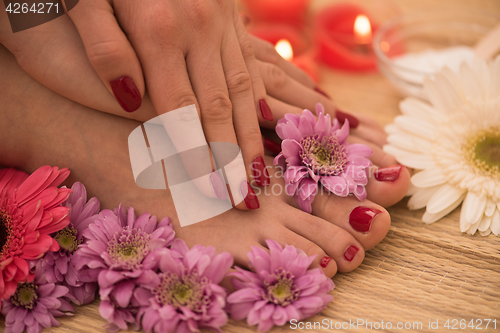 Image of female feet and hands at spa salon