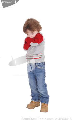 Image of Portrait of shy little boy.
