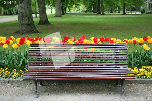 Image of Sofa in park