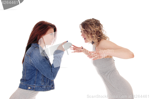 Image of Two woman fighting.