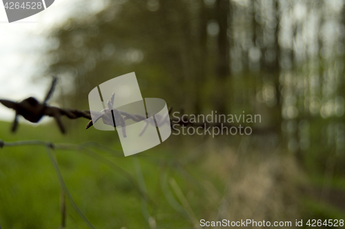 Image of barbwire