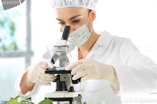 Image of Laboratory testing plant samples.