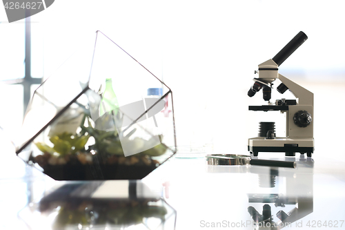 Image of Analytical laboratory. Microscope