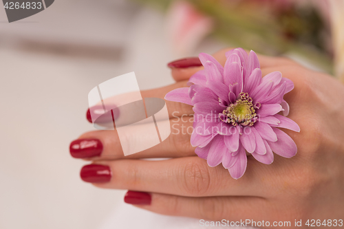 Image of woman fingers with french manicure