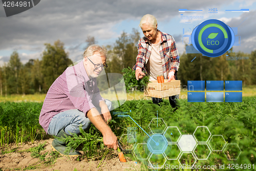 Image of senior couple with box of carrots on farm