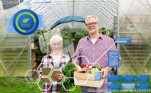 Image of senior couple with box of vegetables on farm